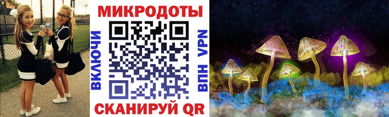 как найти закладки  Лобня  Псилоцибиновые грибы Psilocybe 